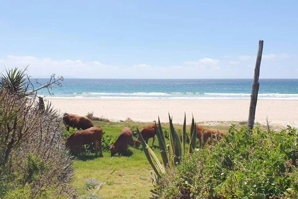 Bolonia Beach Campus Tarifa Spain